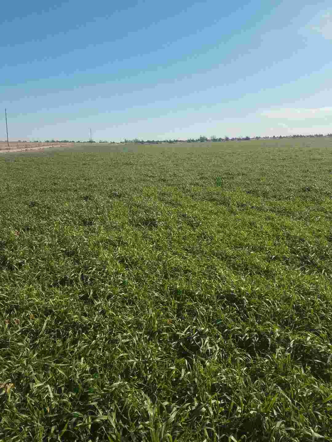 fed plant Generosa Natural Liquid Fertiliser