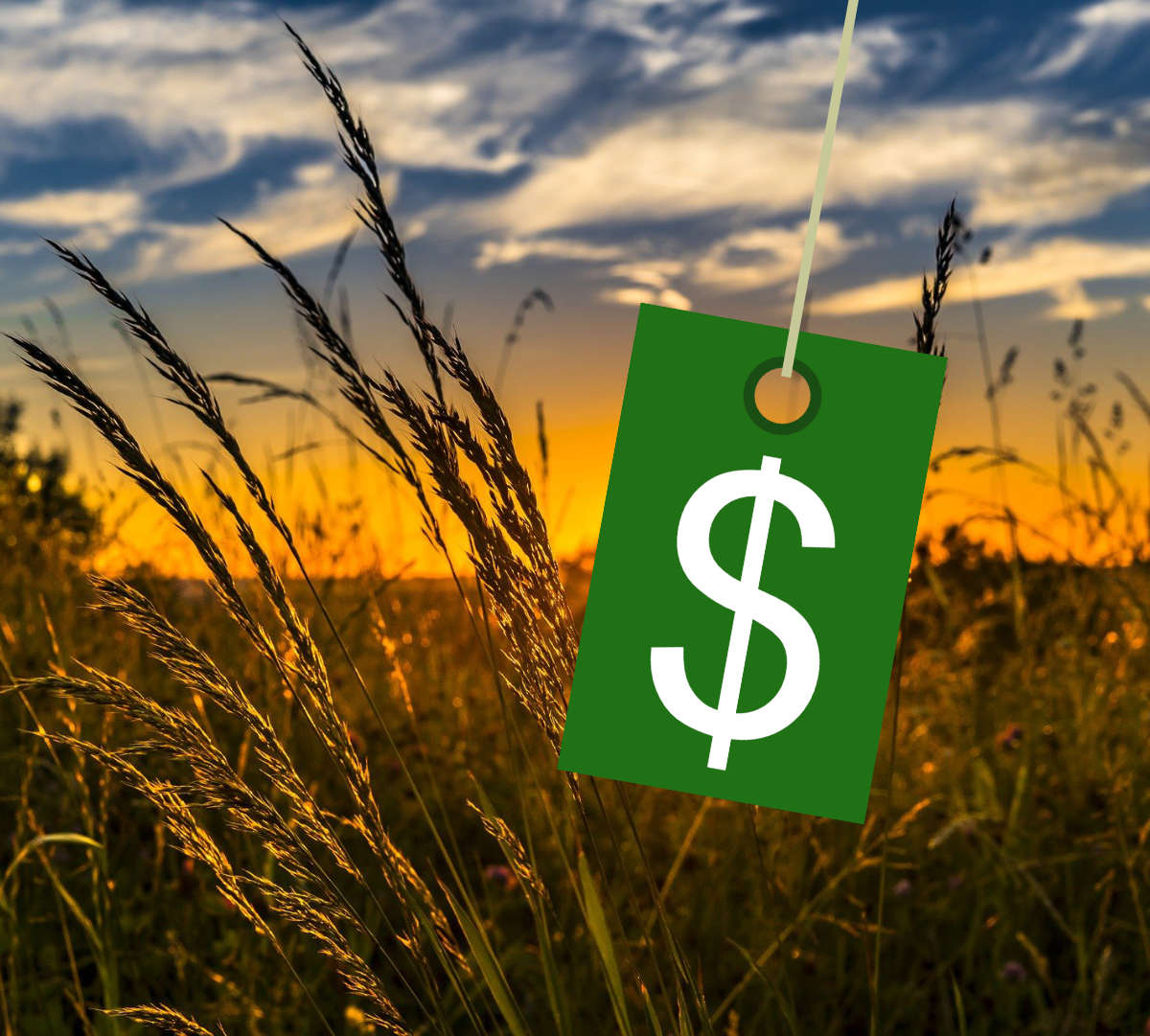 Our Spring & Fall pricelists are available in PDF format for those interested in downloading or printing them vs browsing on the site. We publish price lists twice a year, one for the spring season and one for the fall season.